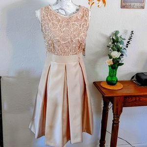 NWT Jessica Howard champagne colored cocktail dress Sz 14P.